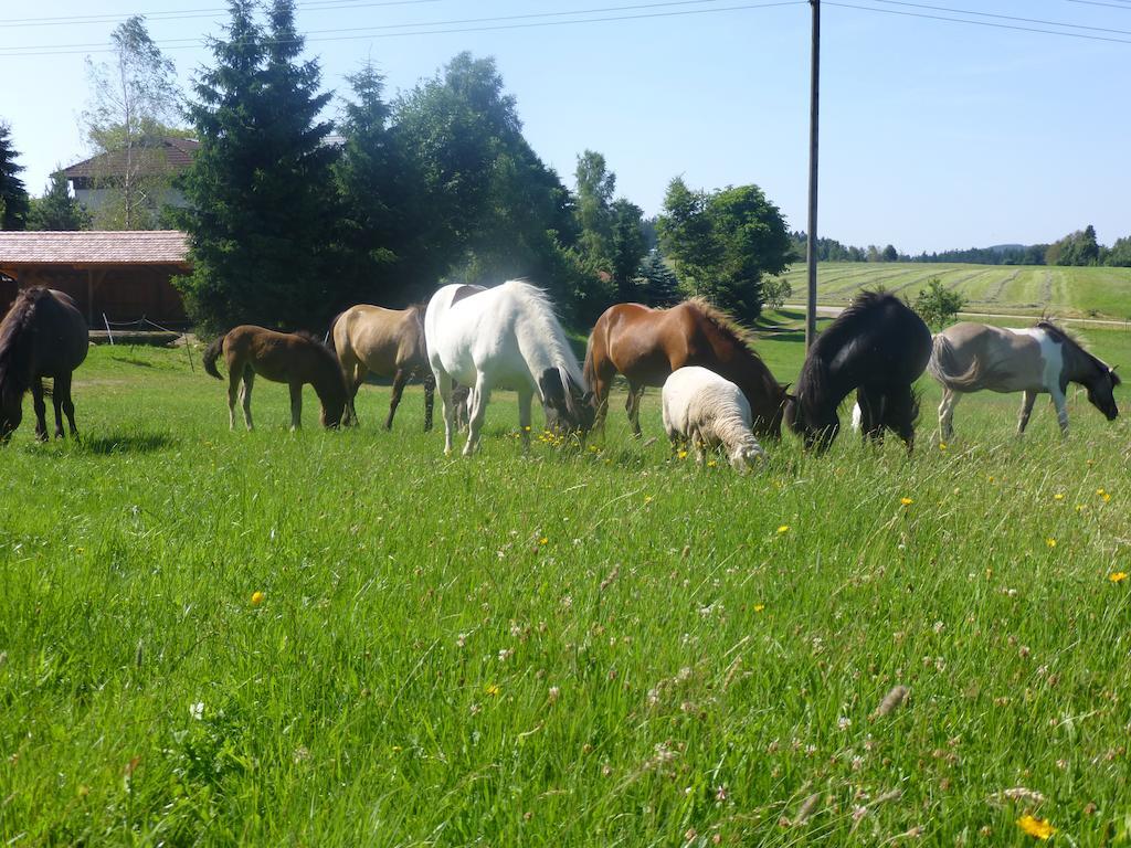Landgasthof Zum Schwanen ฮอร์นแบร์ก ภายนอก รูปภาพ
